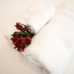 Aletro *